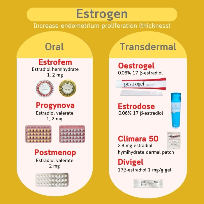 子宮内膜を整えるためのエストロゲン製剤 — 経口（Estrofem、Progynova、Postmenop）と経皮（Oestrogel、Estrodose、Climara、Divigel）